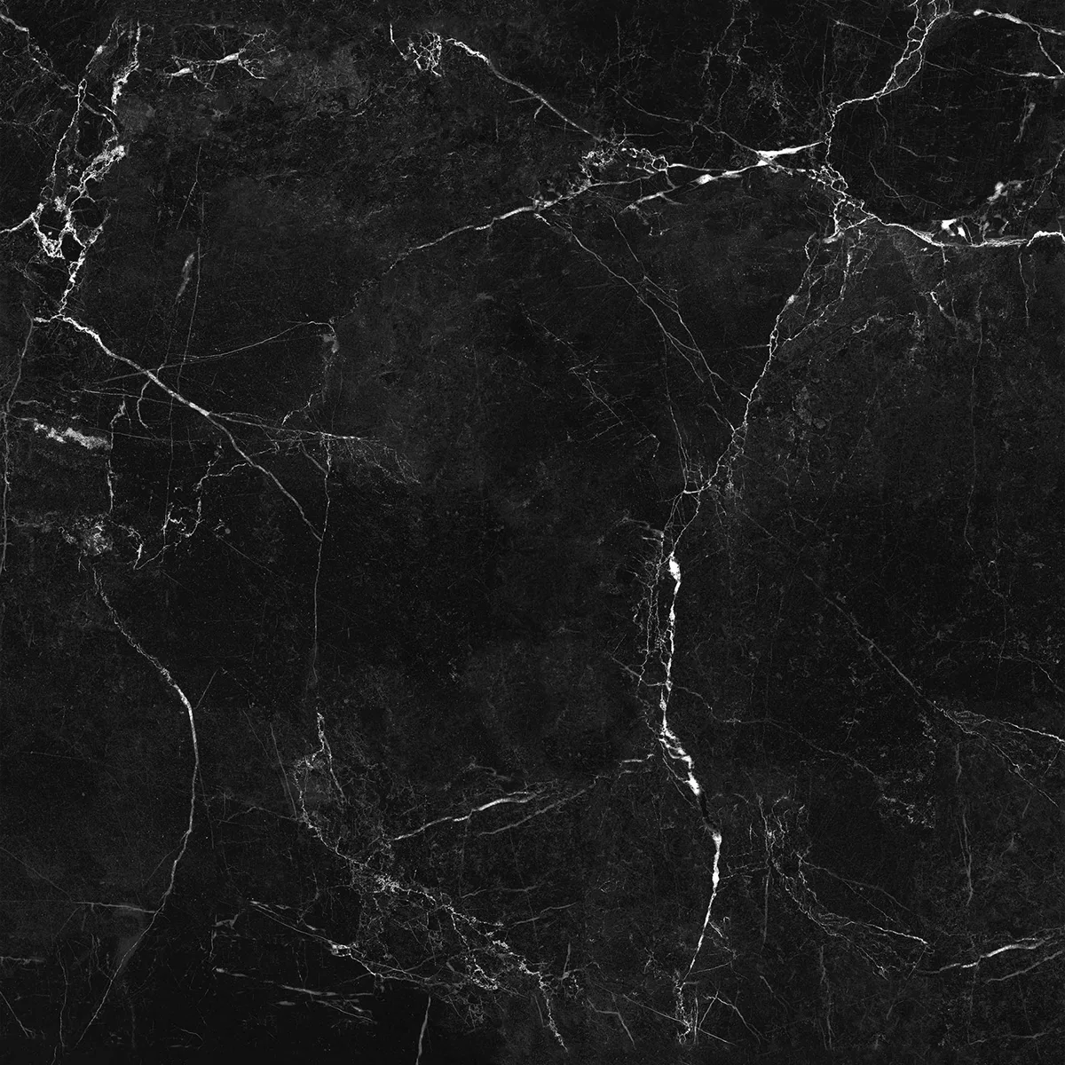 Tihoo Black Marble Tihoo Black Marble - Image 1